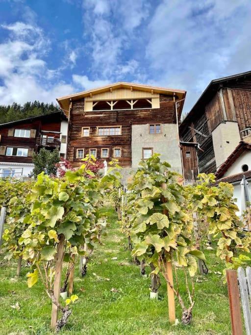 Spacious 3 Bedroom Near Flims *